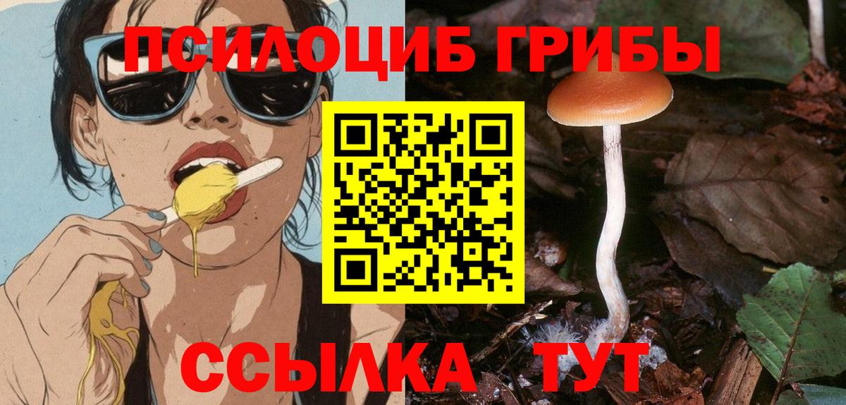 Нарьян-Мар  Псилоцибиновые грибы MAGIC MUSHROOMS  где продают наркотики  Галлюциногенные грибы мицелий  Вход с VPN 