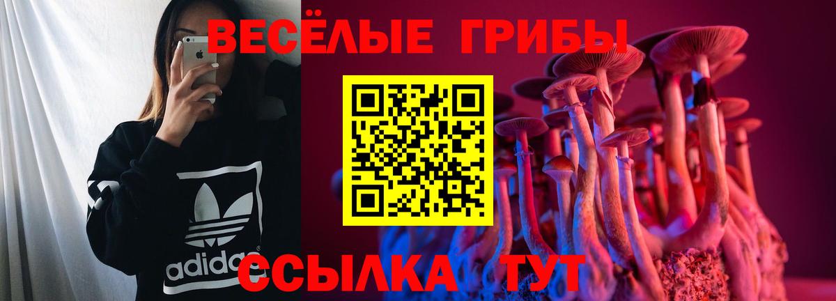 Псилоцибиновые грибы прущие грибы Нарьян-Мар